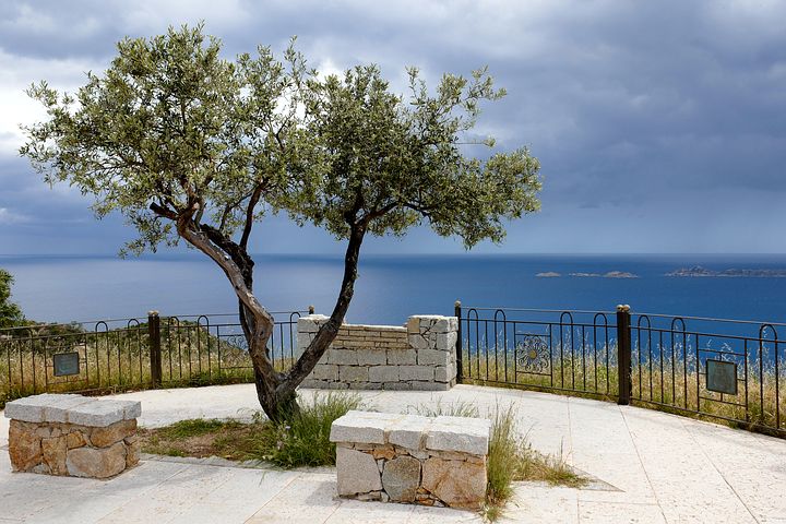 sardinie
